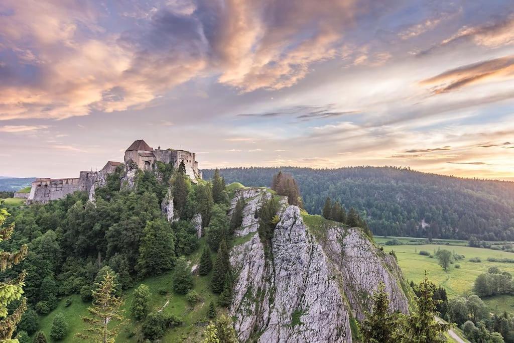 Studio « Le Petit Montagnard » Мальбюисон Экстерьер фото